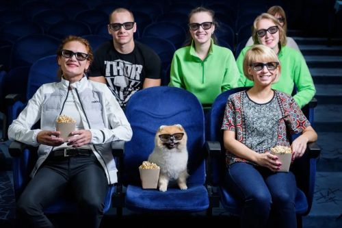 Выходные в стиле ''cinema''