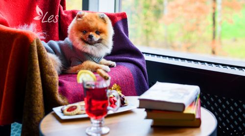 Осенний книжный салон